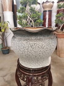 花卉 盆景 盆栽