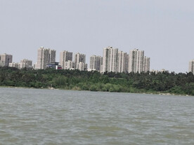 龙子湖