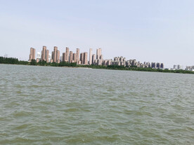 龙子湖