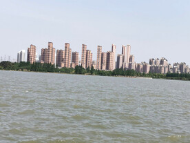 龙子湖