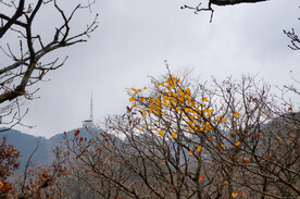 安徽黄山