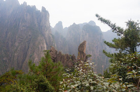 黄山徽骆驼
