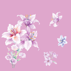 手绘花朵花卉