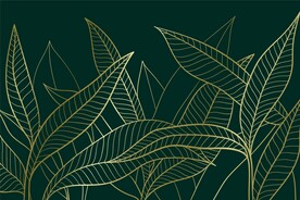 背景模板 展板背景      