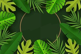 背景模板 展板背景      