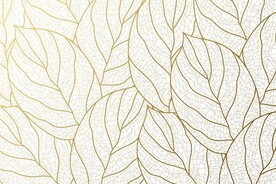 背景模板 展板背景      