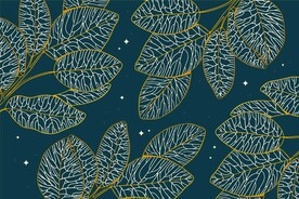 背景模板 展板背景      