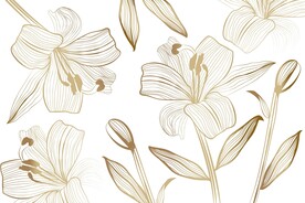 背景模板 展板背景      