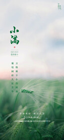 节气日海报