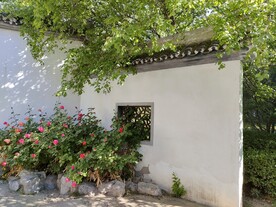 徽式建筑风格镂空窗格夏日月季花