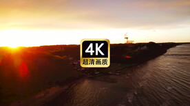 航拍夕阳下的海边森林