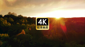 航拍夕阳下的森林