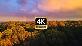 航拍夕阳下的森林