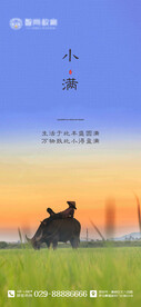 二十四节气海报 小满海报 