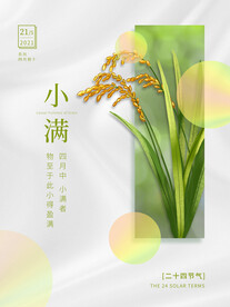 创意简约小满节气海报