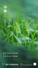 合成小满节气摄影图海报