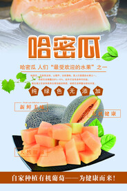 哈密瓜