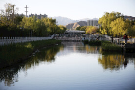 城市公园