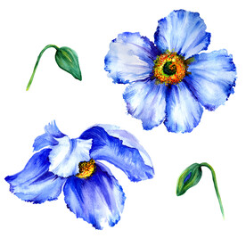 素材花