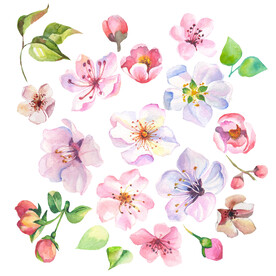 素材花