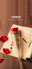 情人节七夕520海报