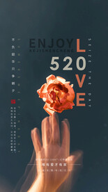 情人节七夕520海报