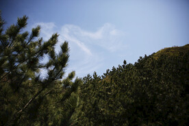 山林天空