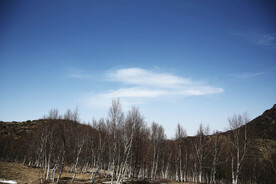 山林