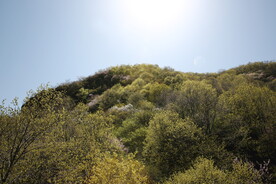 山林 天空