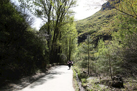 林间小路