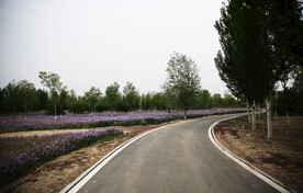 路