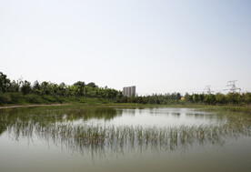 湖