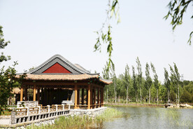 公园 亭子