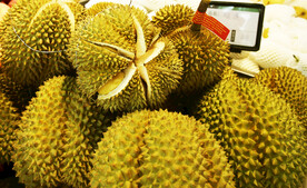 榴莲