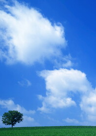 高清云层旷野一棵树意境背景