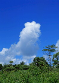高清天空一朵云