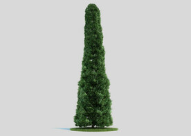 c4d模型道路景观树绿色植物
