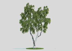 c4d模型道路景观树绿色植物