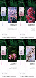 园林植物科普系列刷屏