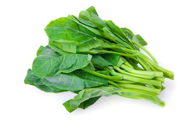 木耳菜