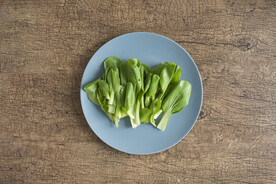 青菜
