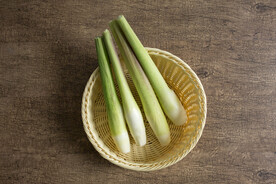 茭白