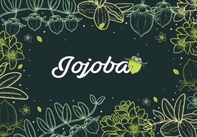矢量鲜花海报背景图片