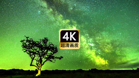 唯美夜空下大树星辰银河