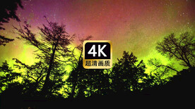 唯美夜空树林星辰极光