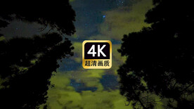 唯美夜空树林星空云层