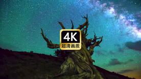 唯美枯树星空银河流云