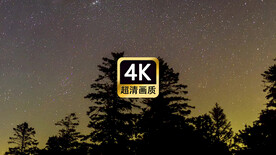 唯美夜空树林星空
