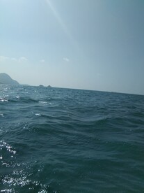 海水