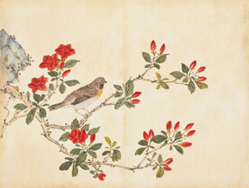 G国画 百花鸟图